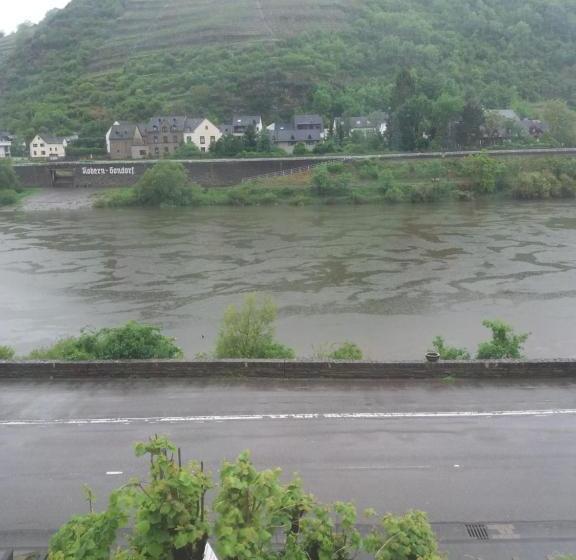 Pensão Bachmeier S Gasthaus Traube Niederfell