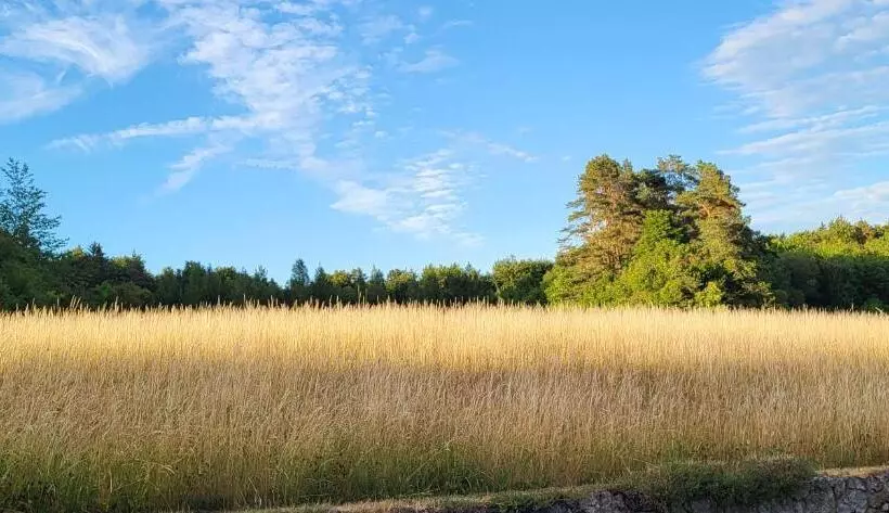 Pension Am Wald