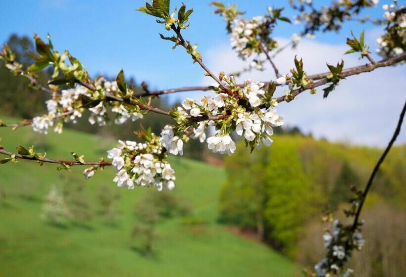 Отель Bühlbauernhof