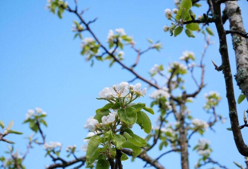 Отель Bühlbauernhof