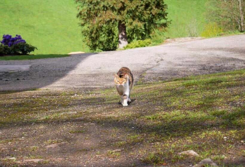 Отель Bühlbauernhof