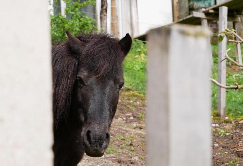Отель Bühlbauernhof