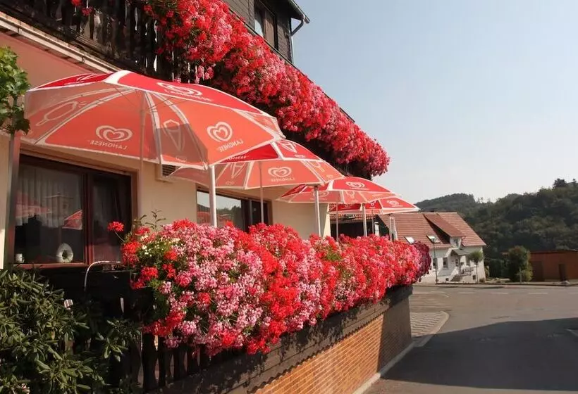 پانسیون Landgasthof Hotel Sauer