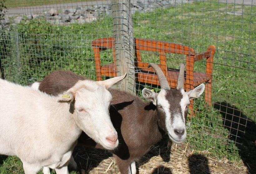 ペンション Landgasthof Hotel Sauer