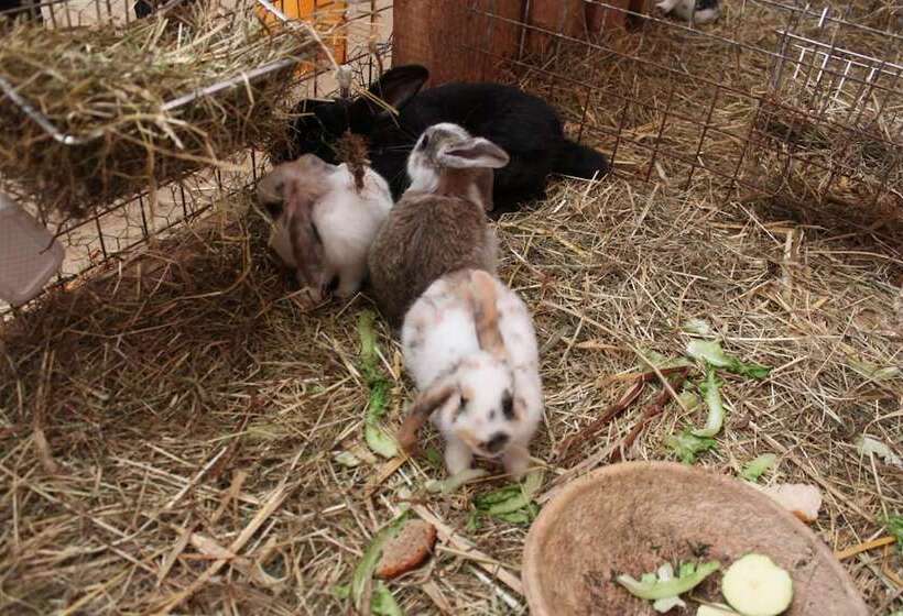 ペンション Landgasthof Hotel Sauer