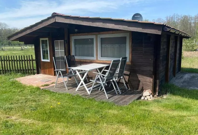 ペンション Museumsherberge Glashütte