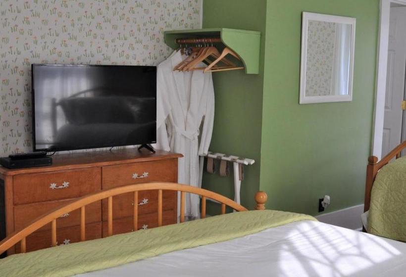 Bed and Breakfast The Doctor's Inn