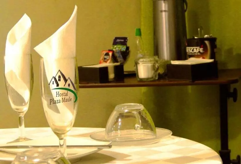 ペンション Hostal Plaza Maule