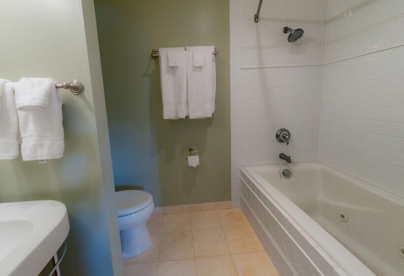 הוסטל Three Arch Inn