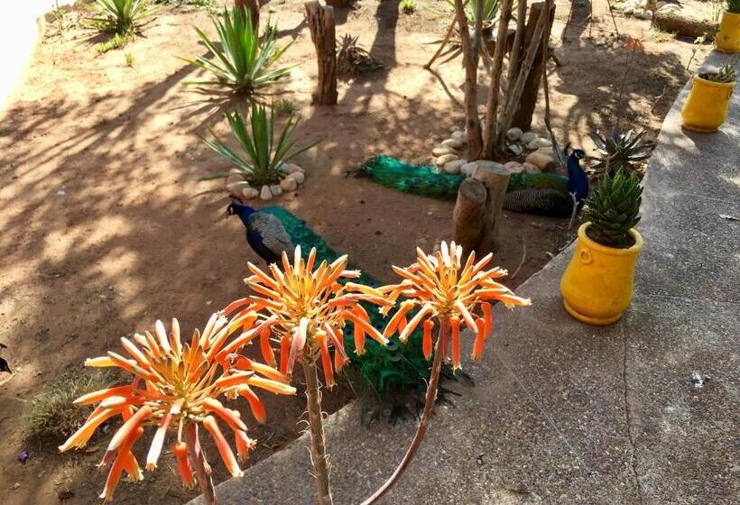 بنسيون Camping & Hôtel Le Calme