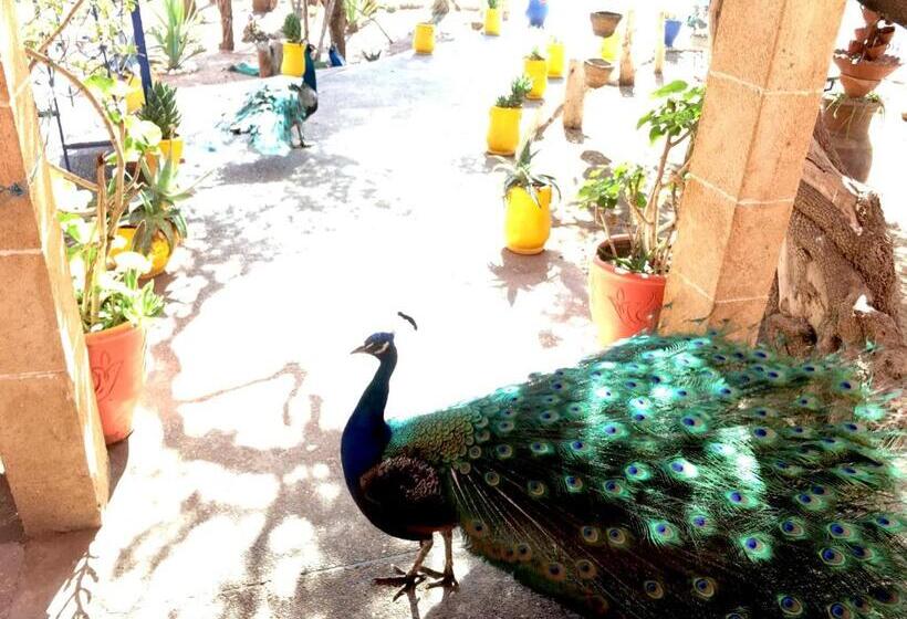 بنسيون Camping & Hôtel Le Calme