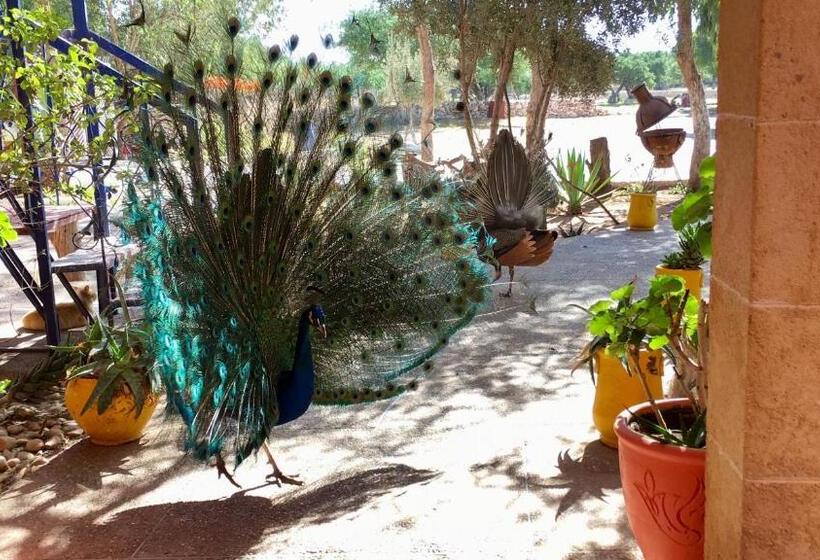 بنسيون Camping & Hôtel Le Calme