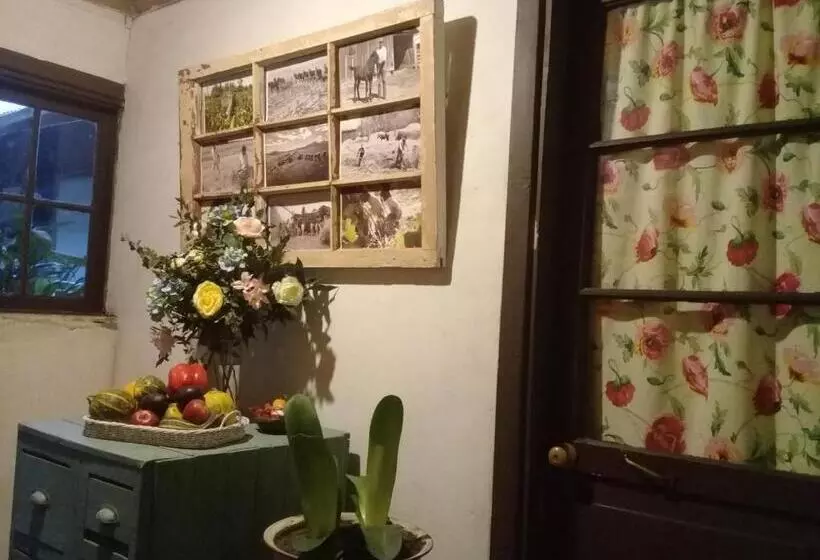 پانسیون Doña Irene B & B