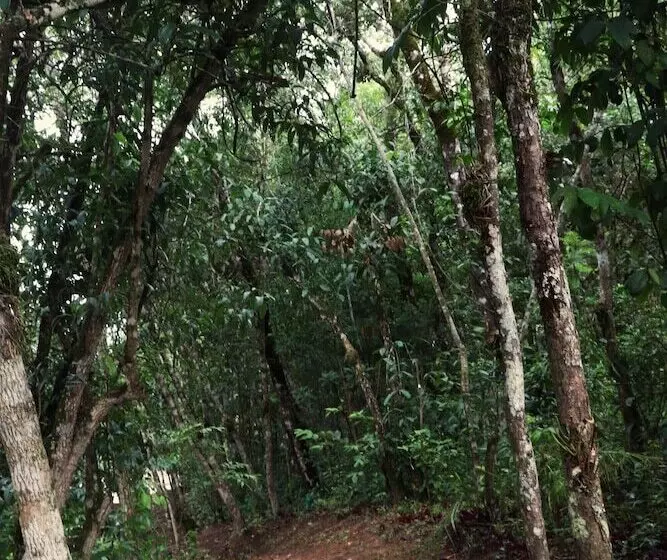Majatalo Pousada Santa Thereza