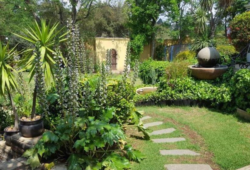 Пансион Villa Mikamora