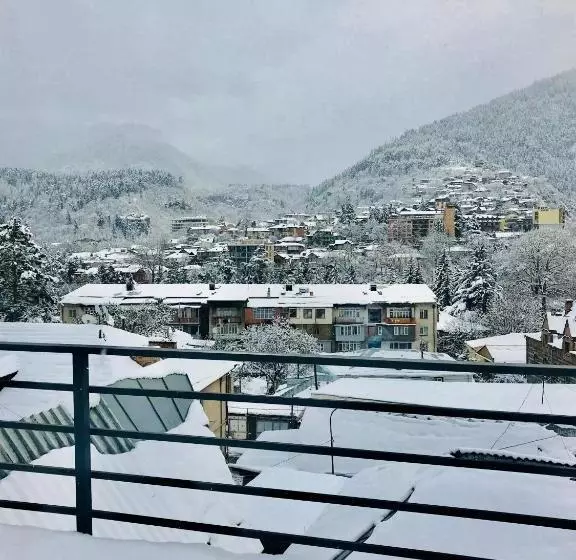 پانسیون Borjomi Inn