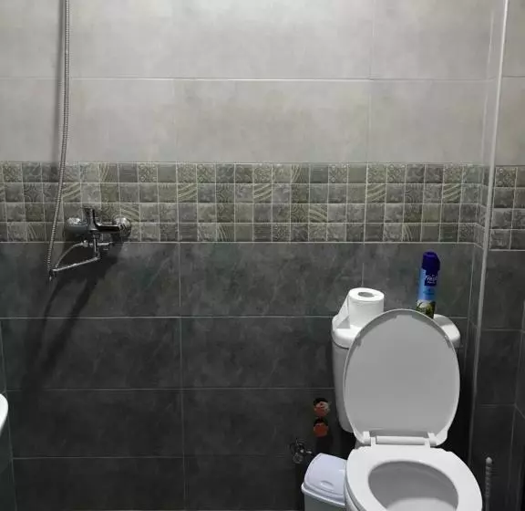 پانسیون Borjomi Inn