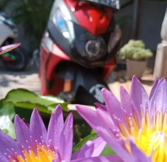 Majatalo Lasindu Guest