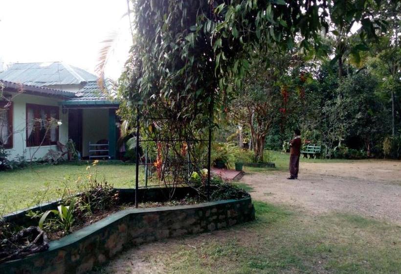 膳宿费 Lizzie Villa Guest House