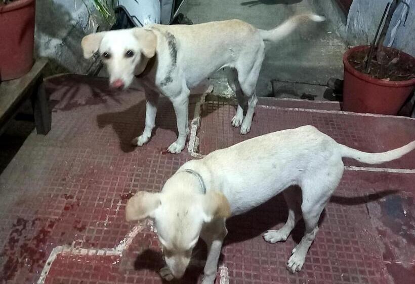 بنسيون Nandini Paying Guest House