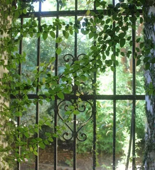 Retkeilymaja La Casa De Wanda