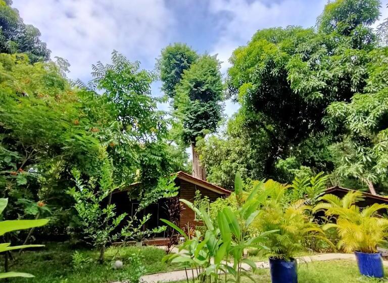 Boho Lodge Montezuma L&l