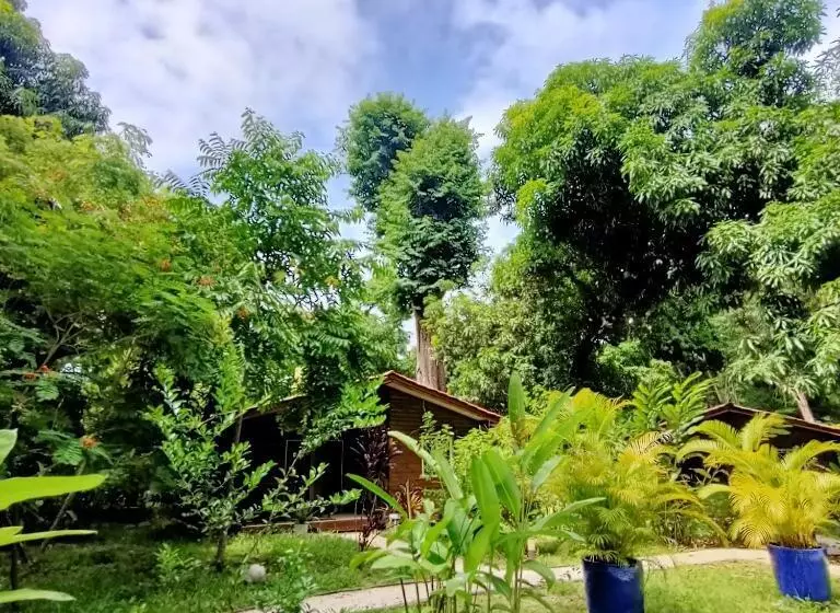 Boho Lodge Montezuma L&l