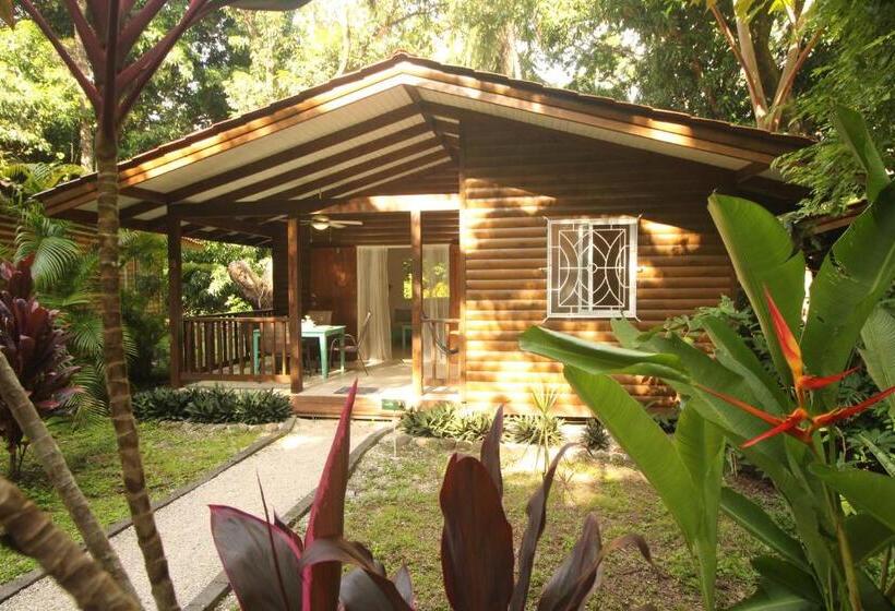 Boho Lodge Montezuma L&l