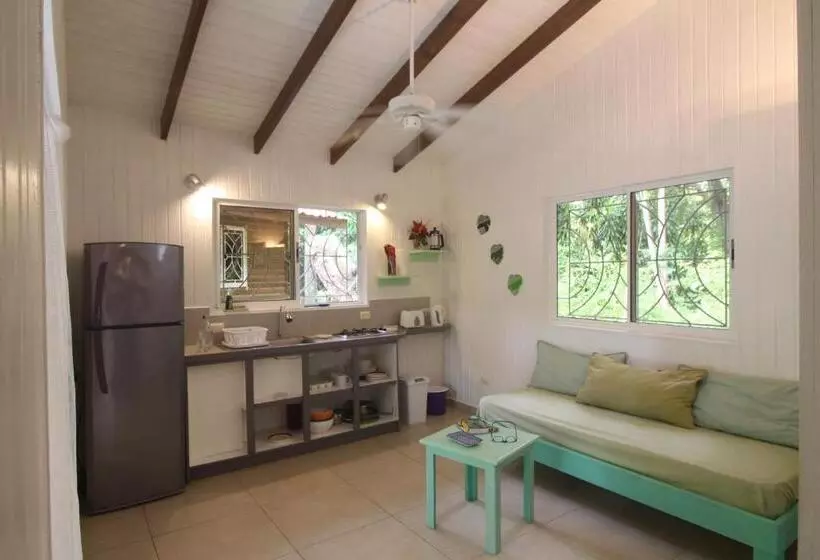 Boho Lodge Montezuma L&l