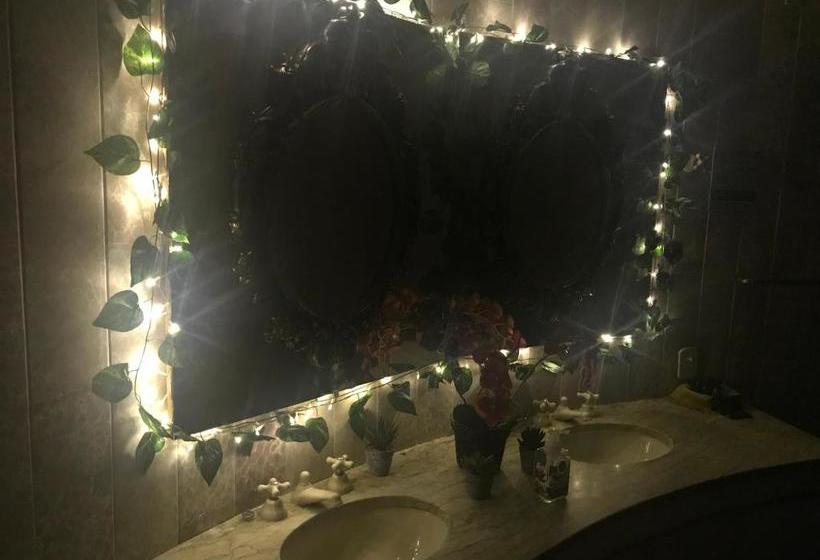 膳宿费 Albergo Alegria