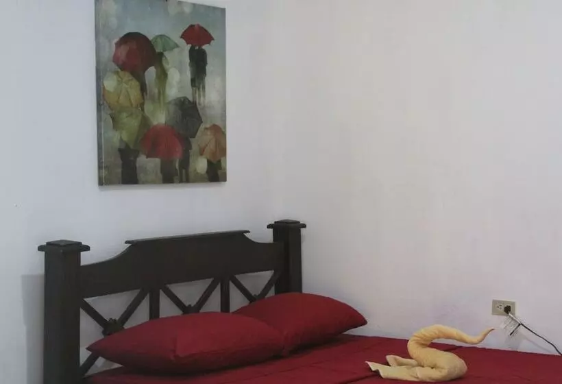 ペンション Tortuguero Hostel & Backpackers