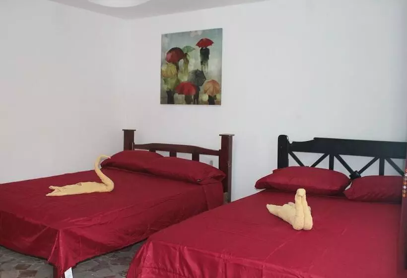 ペンション Tortuguero Hostel & Backpackers