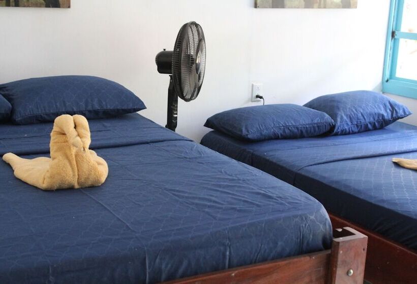 پانسیون Tortuguero Hostel & Backpackers