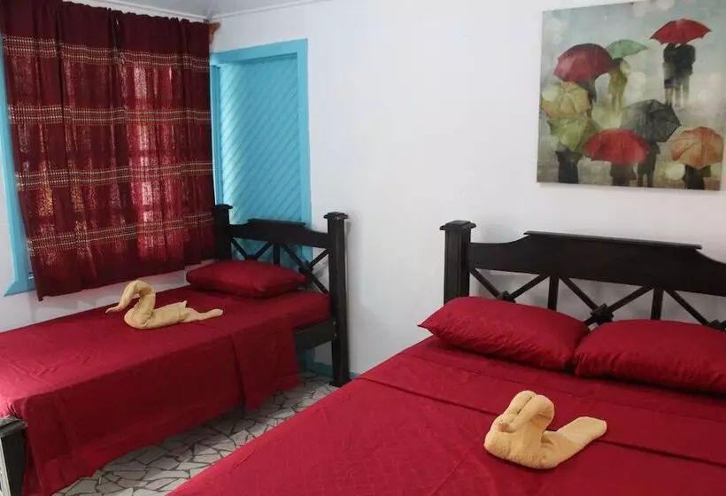 ペンション Tortuguero Hostel & Backpackers