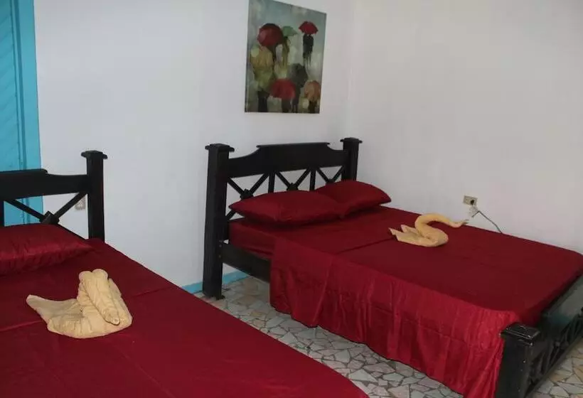 ペンション Tortuguero Hostel & Backpackers