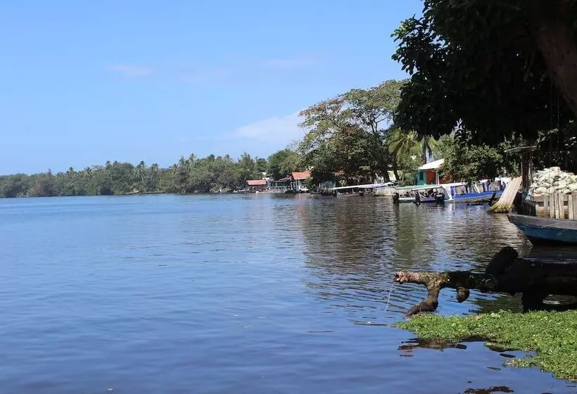ペンション Tortuguero Hostel & Backpackers