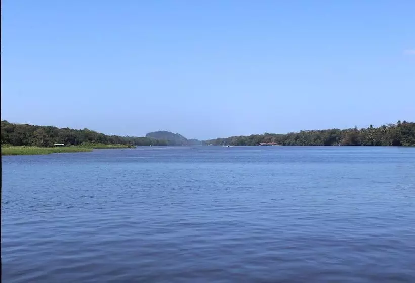 ペンション Tortuguero Hostel & Backpackers