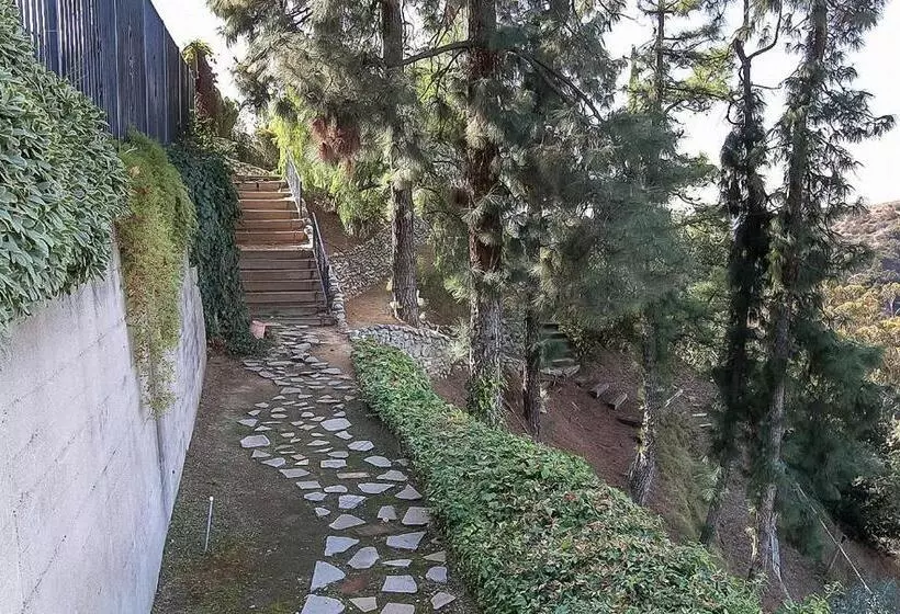 Majatalo The Patrician Hollywood Universal