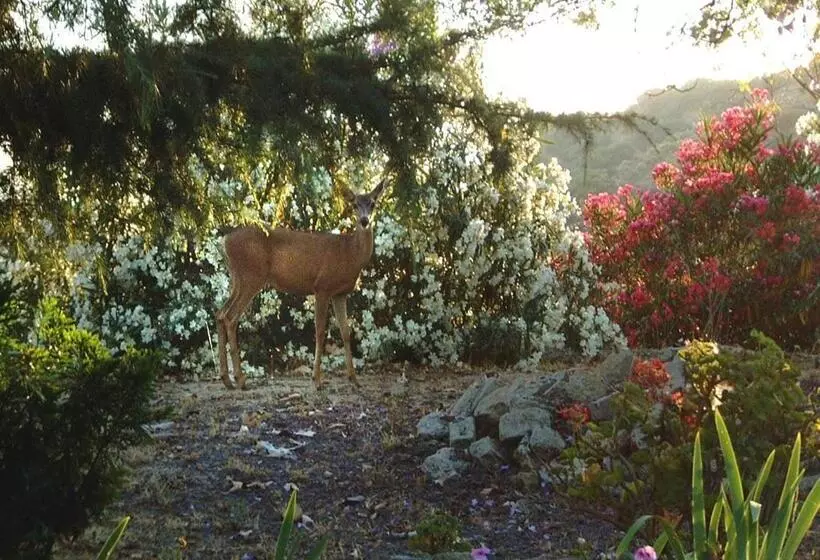 Majatalo The Patrician Hollywood Universal