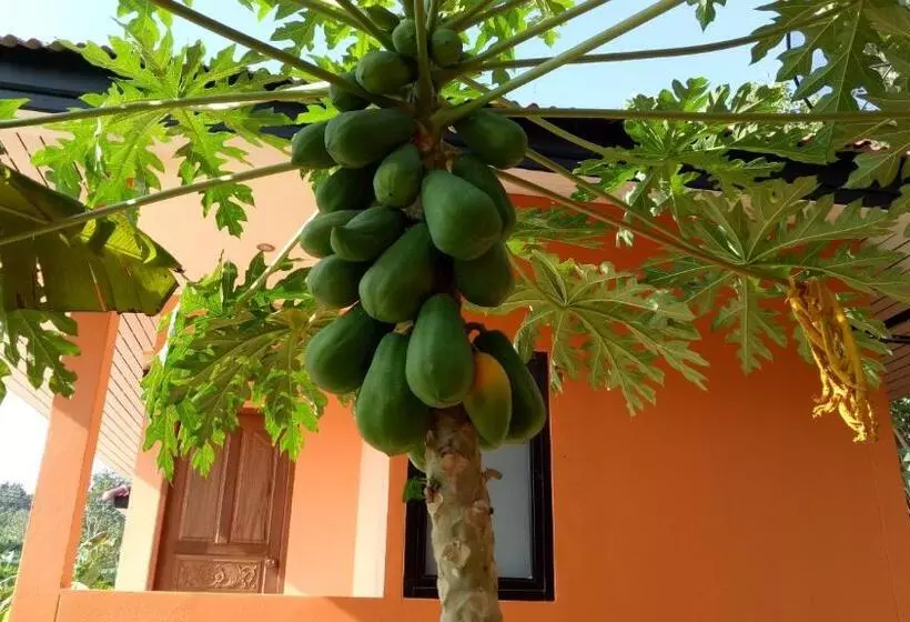 Lomakeskus Bannsuan Amaleena