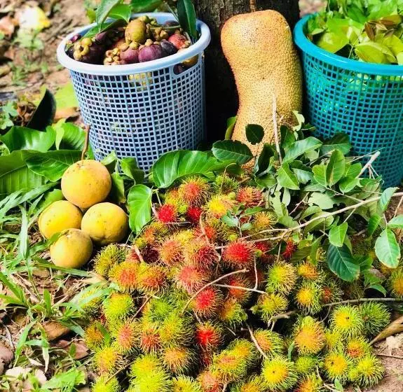 Lomakeskus Bannsuan Amaleena