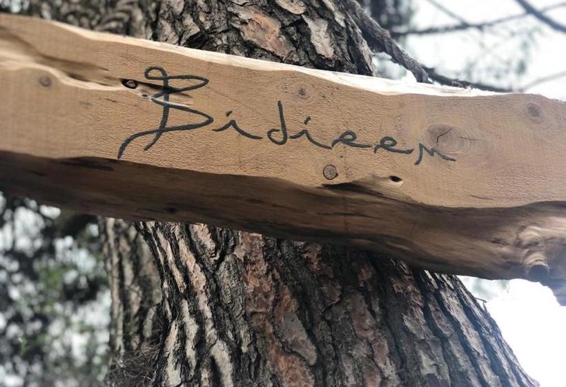 فندق صغير Bidieen Inn Uruguay