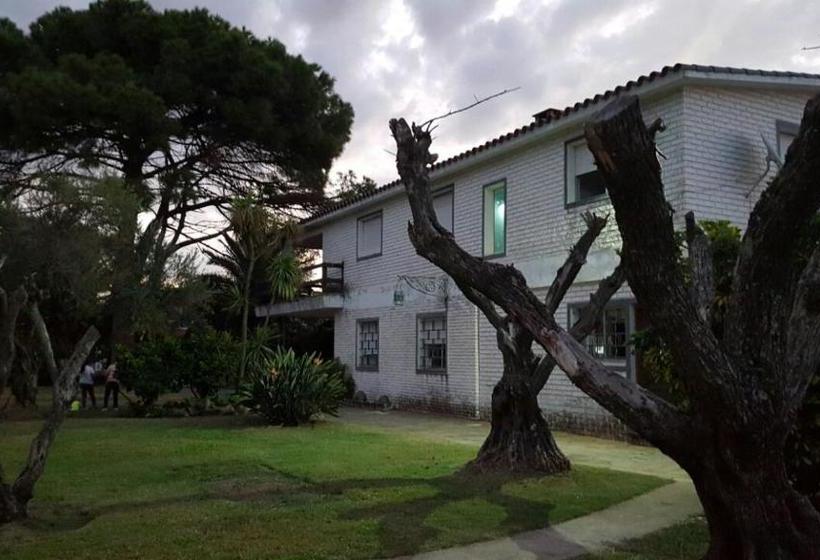 فندق صغير Bidieen Inn Uruguay