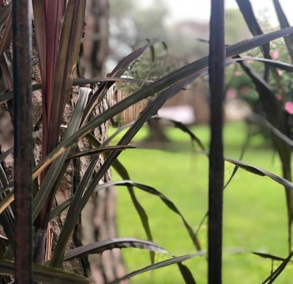 فندق صغير Bidieen Inn Uruguay