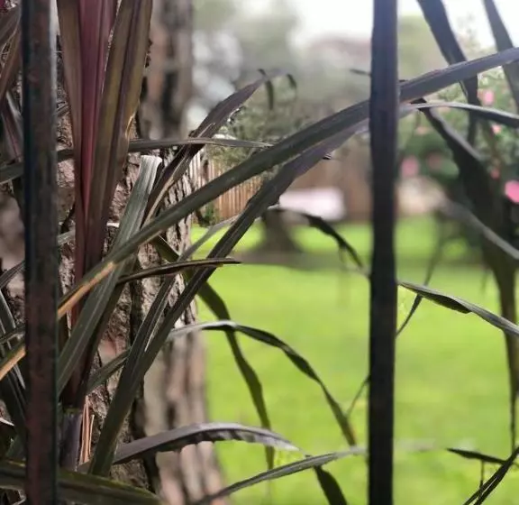 ユースホステル Bidieen Inn Uruguay