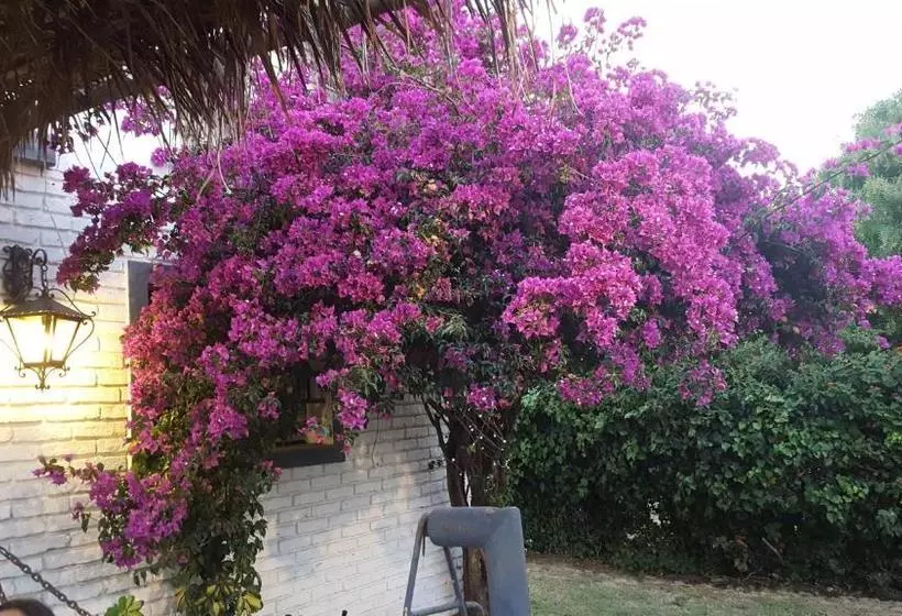 ユースホステル Bidieen Inn Uruguay