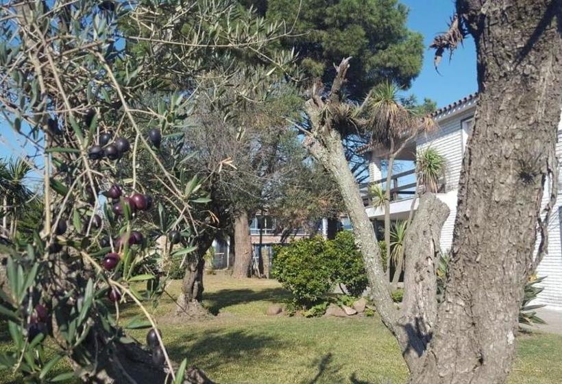 فندق صغير Bidieen Inn Uruguay