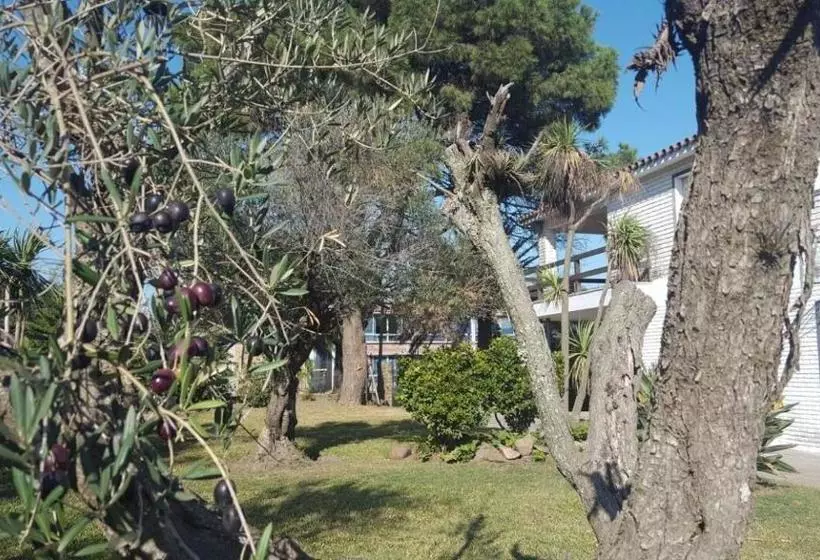 ユースホステル Bidieen Inn Uruguay