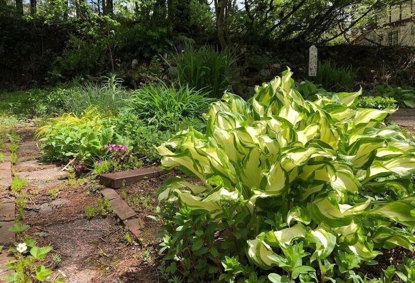 Albergue Hakuba Vivaldi