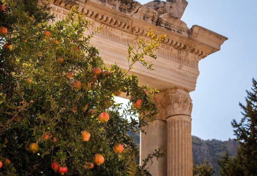 پانسیون Ionia Guest House